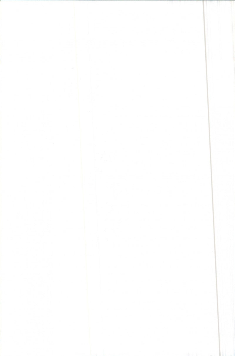 1984 Alfa Romeo 90 - Vintage Photograph