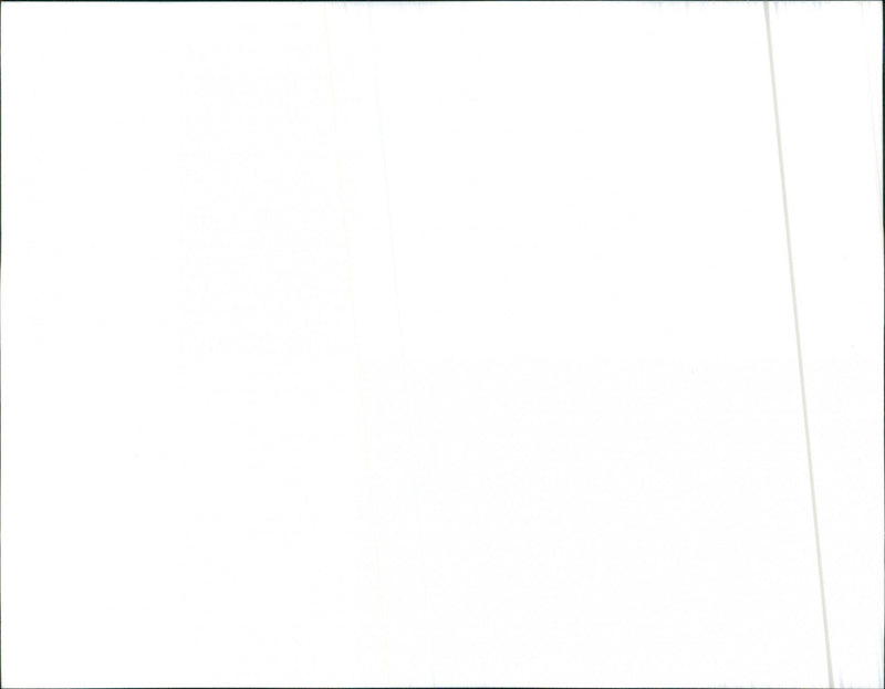 Alfa Romeo 33 - Vintage Photograph