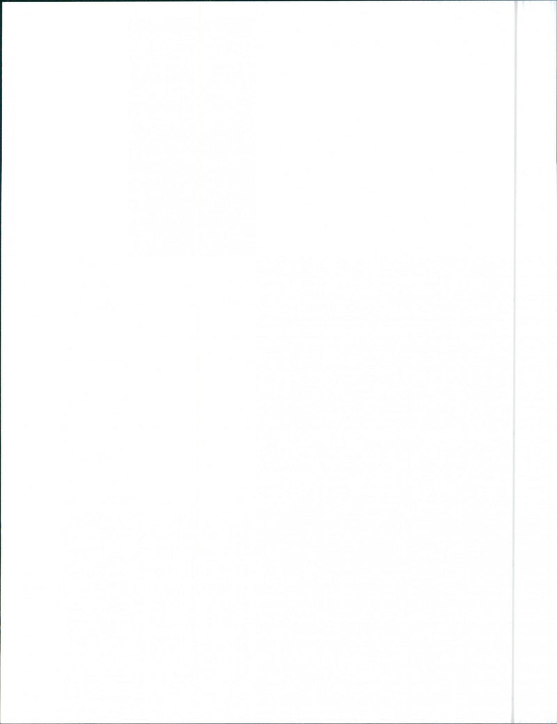 1988 Cadillac Fleetwood d'Elegance - Vintage Photograph