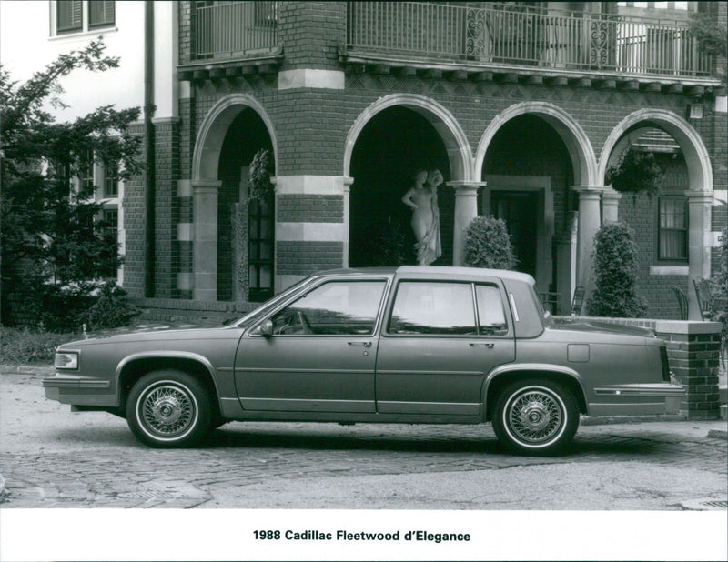 1988 Cadillac Fleetwood d'Elegance - Vintage Photograph