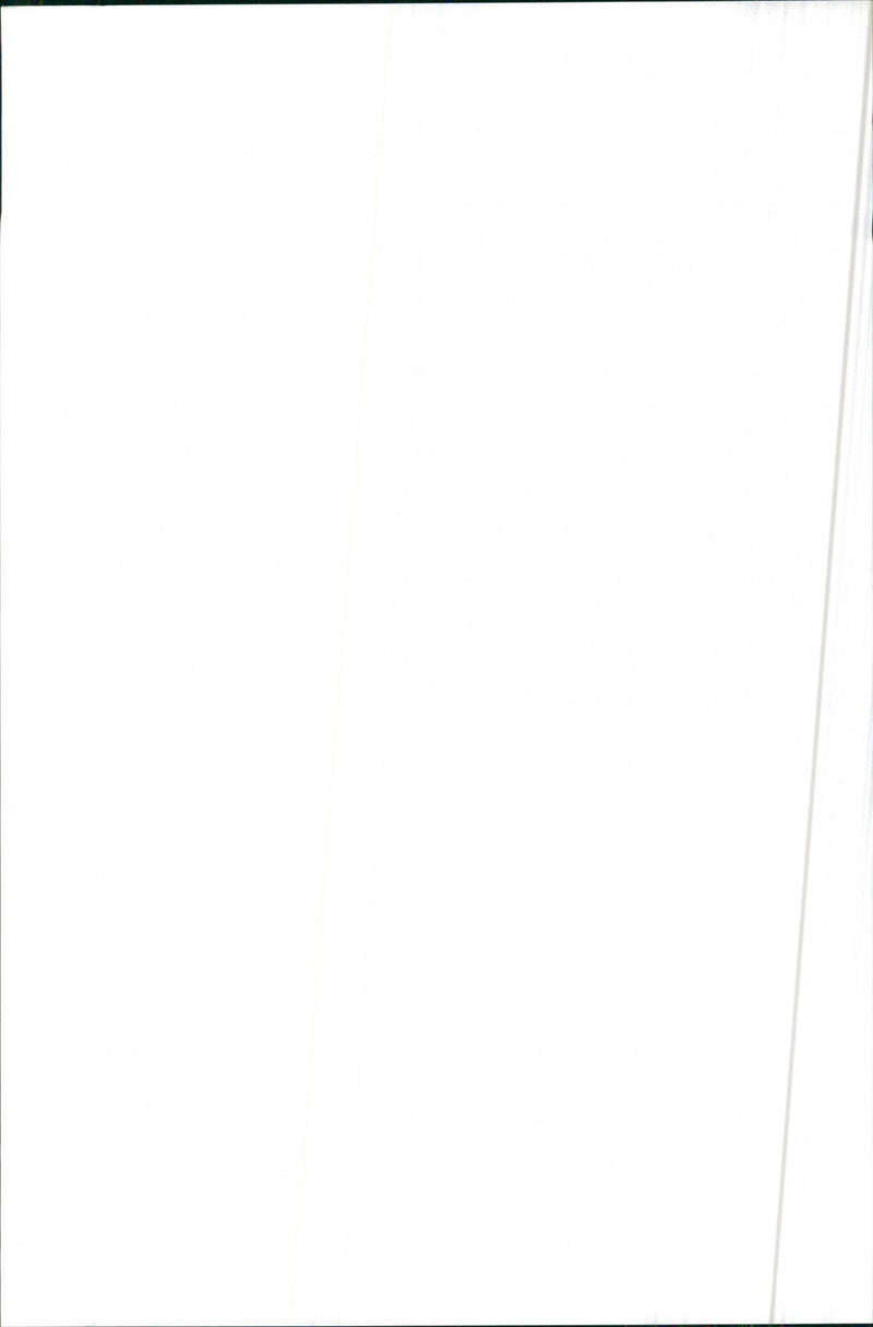 1984 Alfa Romeo 90 - Vintage Photograph