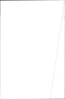 1984 Alfa Romeo 90 - Vintage Photograph