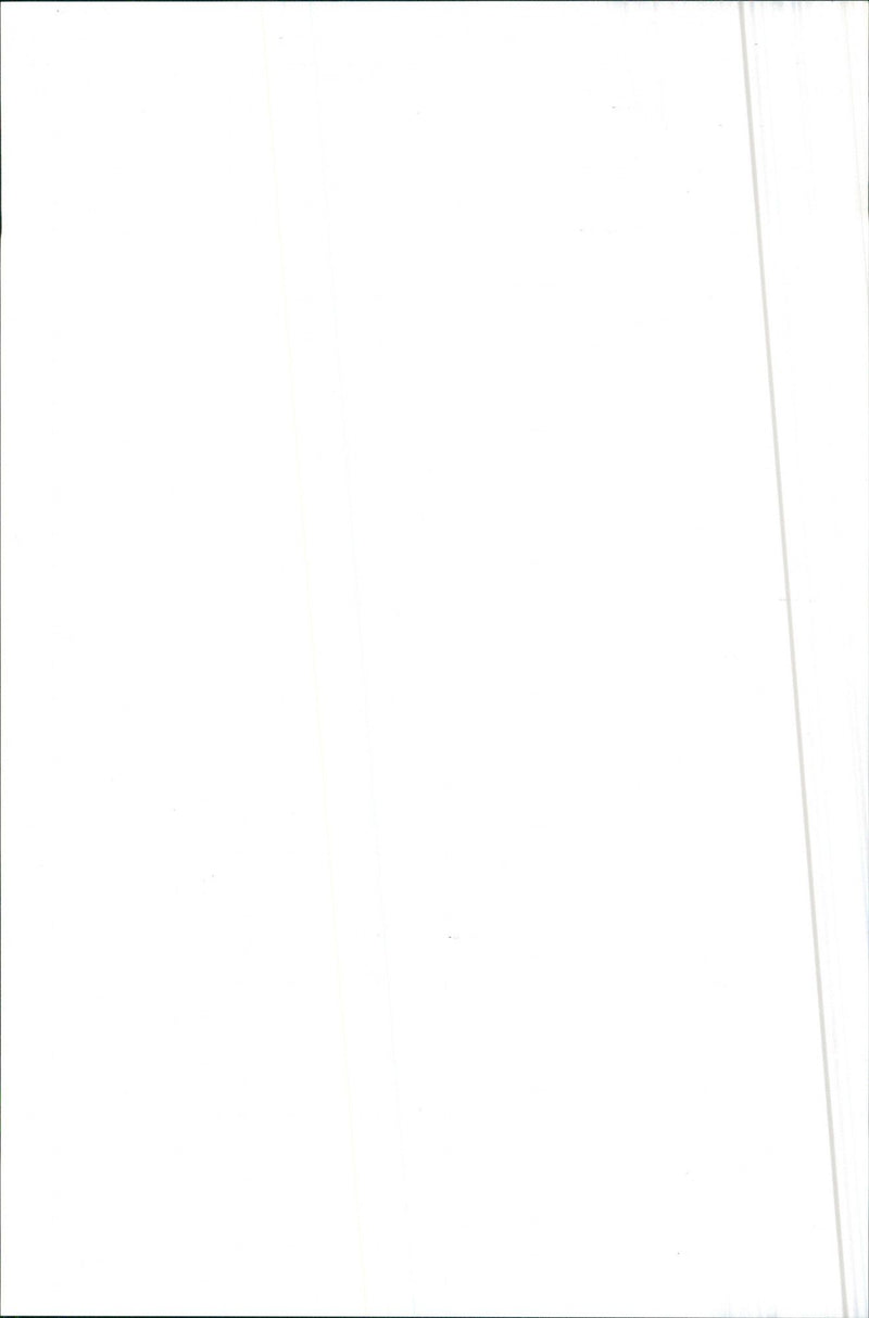 1984 Alfa Romeo 90 - Vintage Photograph