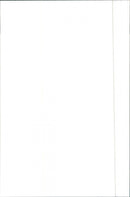 1984 Alfa Romeo 90 - Vintage Photograph