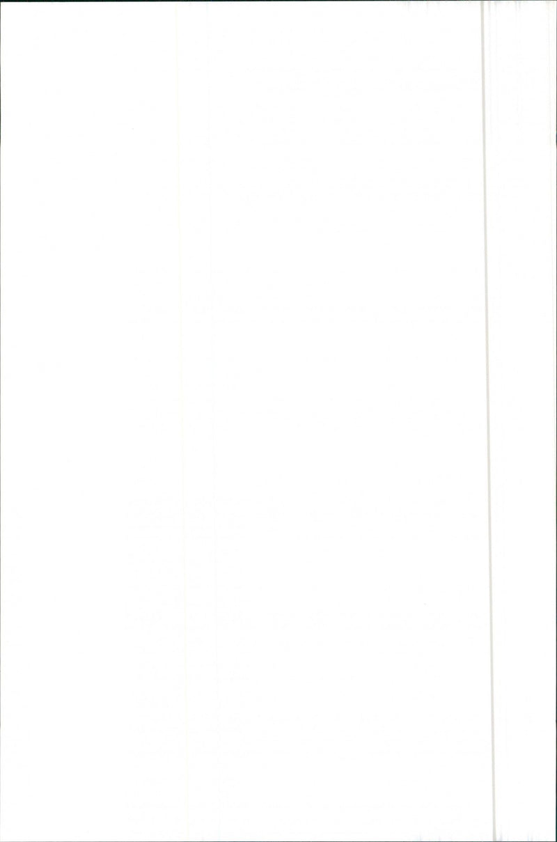 1984 Alfa Romeo 90 - Vintage Photograph