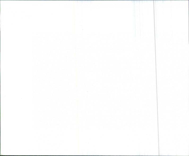 1982 Oldsmobile Cutlass Ciera - Vintage Photograph