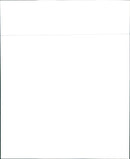 1989 Buick Century Custom Coupe - Vintage Photograph