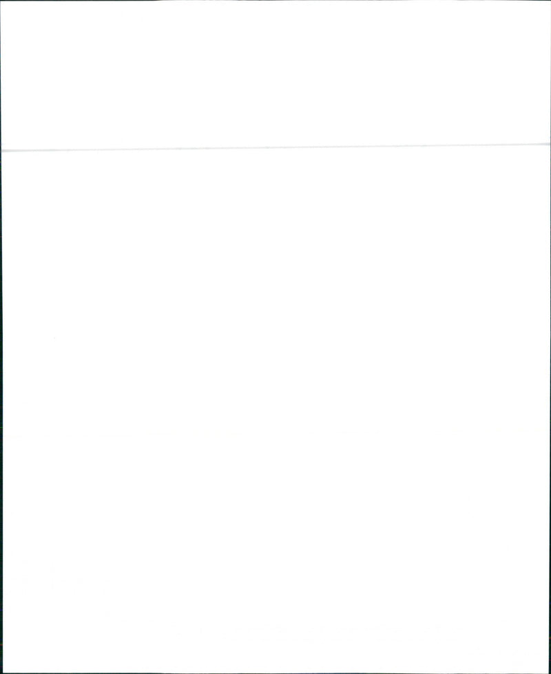 1989 Buick Century Custom Coupe - Vintage Photograph