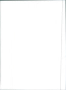 1999 Lexus RX - Vintage Photograph