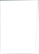 1999 Lexus RX - Vintage Photograph