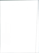 1999 Lexus RX - Vintage Photograph