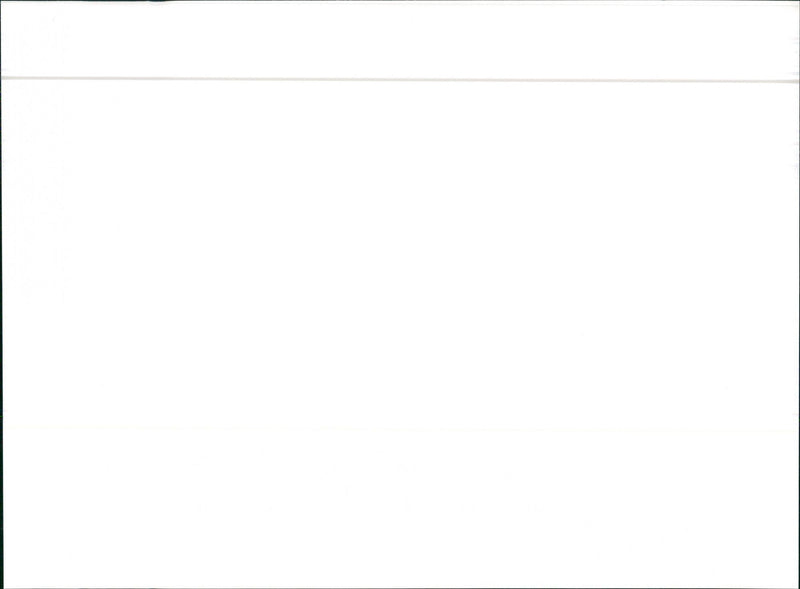 Audi 80 Program 1986 - Vintage Photograph