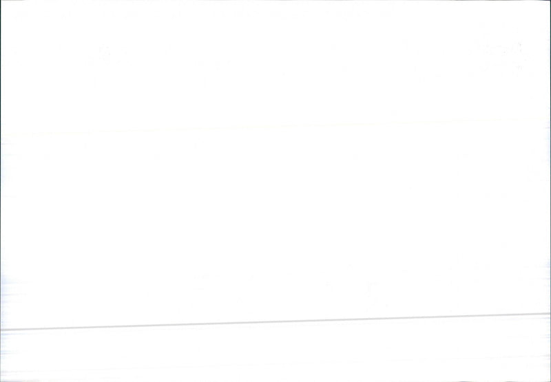 Audi 80 Program 1986 - Vintage Photograph