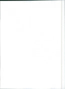 1986 Peugeot 309 GL - Vintage Photograph