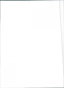 1986 Peugeot 309 GL - Vintage Photograph