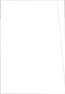 1986 Peugeot 309 GR - Vintage Photograph