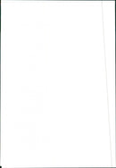 1986 Peugeot 309 - Vintage Photograph