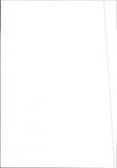 1986 Peugeot 309 - Vintage Photograph