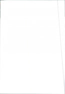 1986 Peugeot 309 - Vintage Photograph