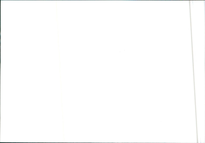 Isuzu Piazza - Vintage Photograph