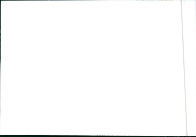 Isuzu Gemini - Vintage Photograph