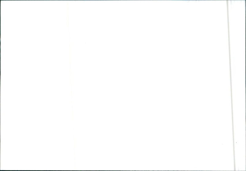 Isuzu Gemini - Vintage Photograph