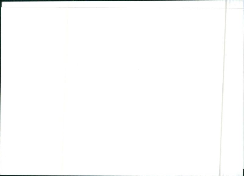 Isuzu Piazza - Vintage Photograph