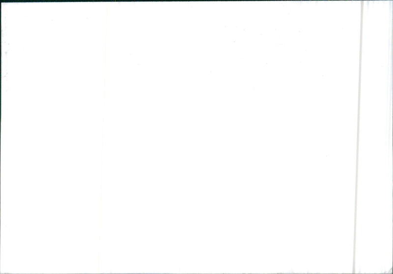 Isuzu Gemini - Vintage Photograph