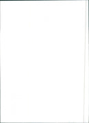 Fiat Regata 100 Super - Vintage Photograph