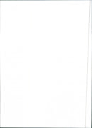 Fiat Regata Super - Vintage Photograph