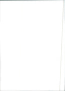 Fiat Regata 100 Super - Vintage Photograph