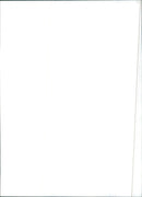 Fiat Regatta Super - Vintage Photograph