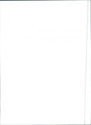 Fiat Regatta 100 Super - Vintage Photograph