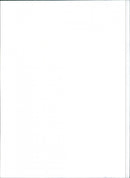 Fiat Regatta 100 Super - Vintage Photograph