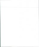 1989 Buick Century Custom Sedan - Vintage Photograph