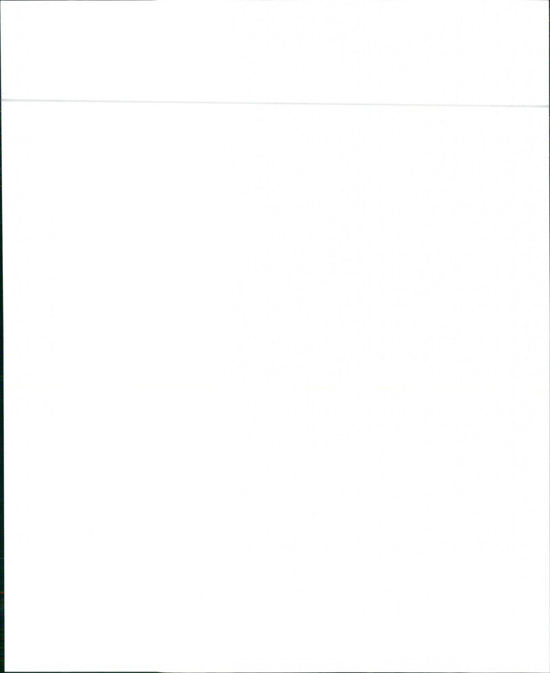 1989 Buick Century Custom Sedan - Vintage Photograph