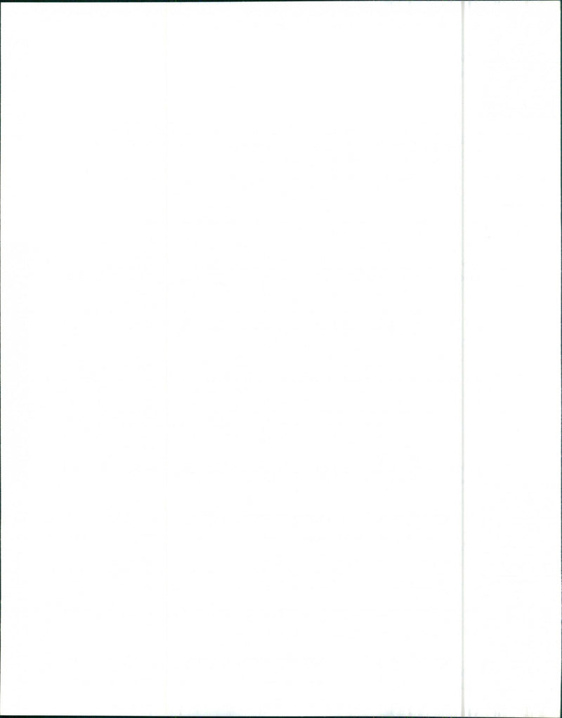 1980 AMC Pacer hatchback,  1980 AMC Pacer wagon - Vintage Photograph