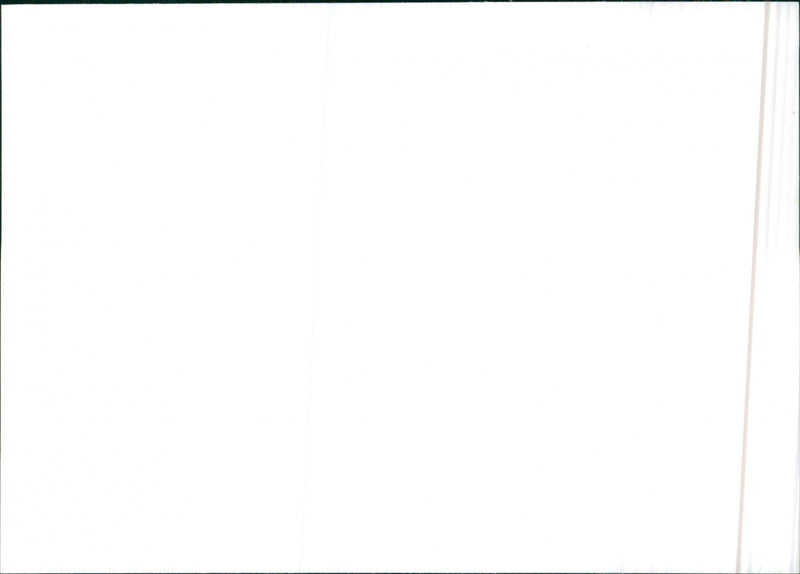 1992 Citroen AX 11 - Vintage Photograph