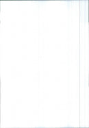 Volkswagen - Vintage Photograph