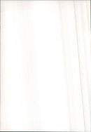 1982 Citroen BX - Vintage Photograph