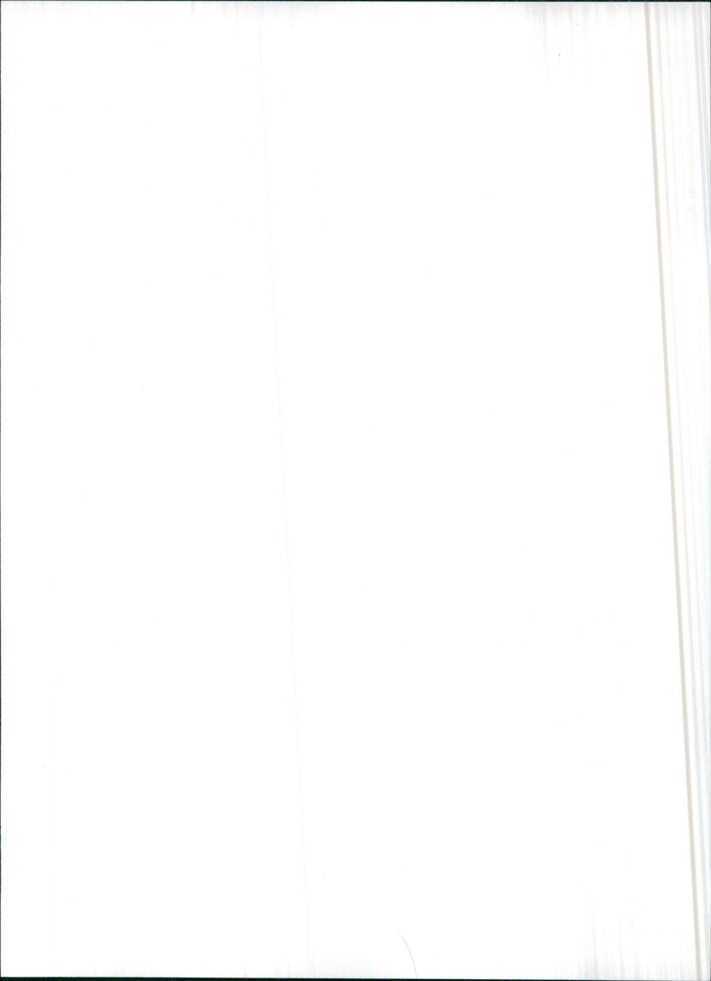 1982 Citroen BX - Vintage Photograph