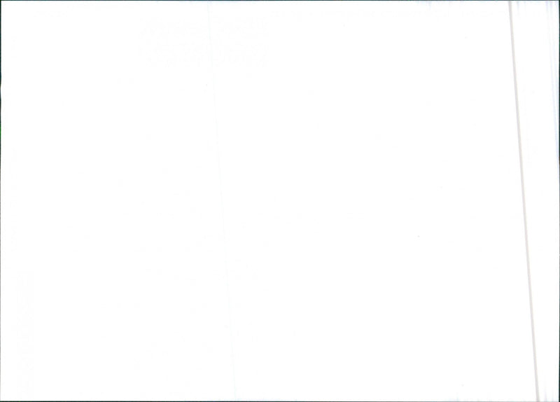 Isuzu 810EX - Vintage Photograph