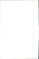 NSU Prinz III - Vintage Photograph