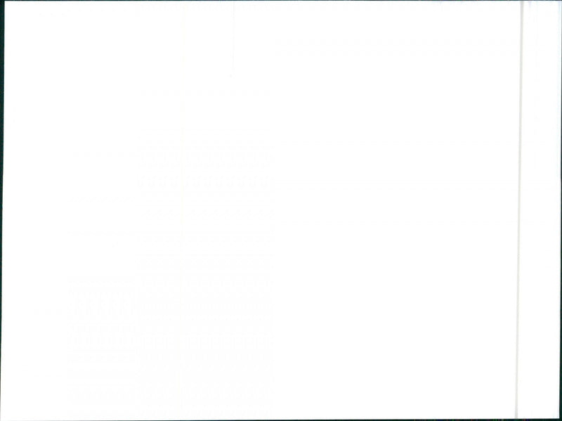 Hyundai Lantra Cool Tiger - Vintage Photograph