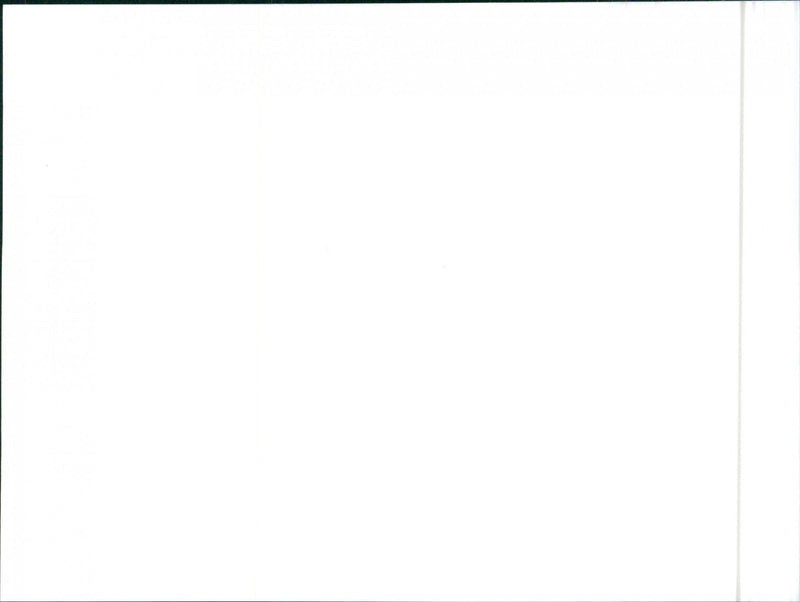 Hyundai H100 2400 Combi Deluxe Top - Vintage Photograph