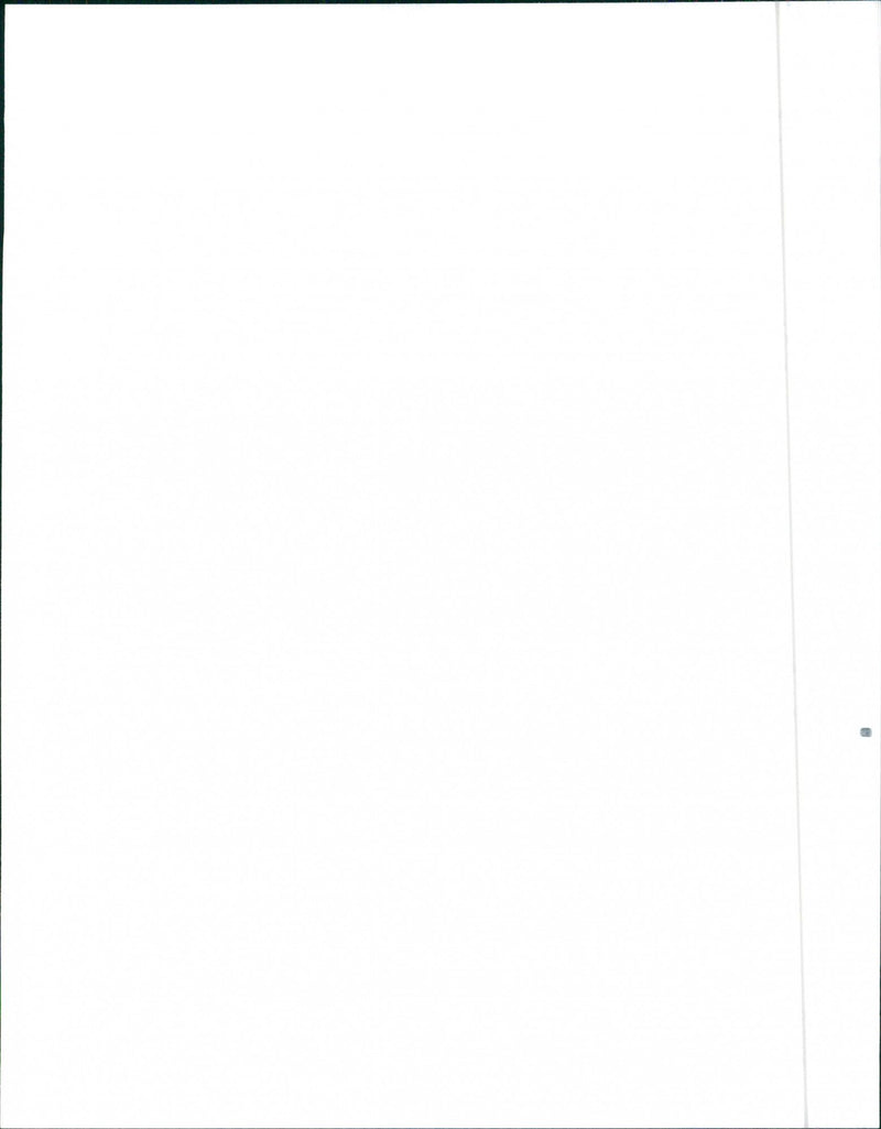 1991 Dodge Neon - Vintage Photograph