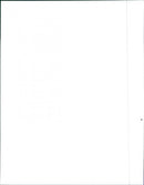 1991 Dodge Neon - Vintage Photograph