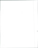 1991 Dodge Neon - Vintage Photograph