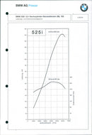 1993 BMW 525i - Vintage Photograph