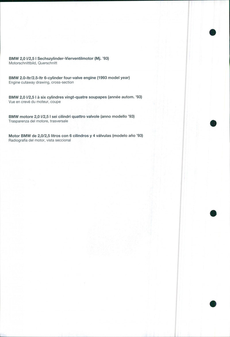 1993 BMW 2.0-ltr/2.5-ltr - Vintage Photograph